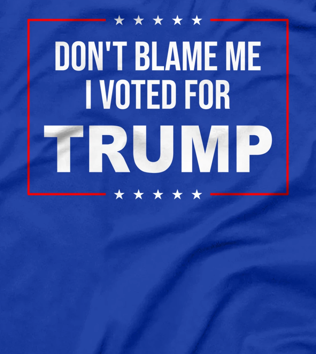 DON'T BLAME ME I VOTED FOR TRUMP T-Shirt