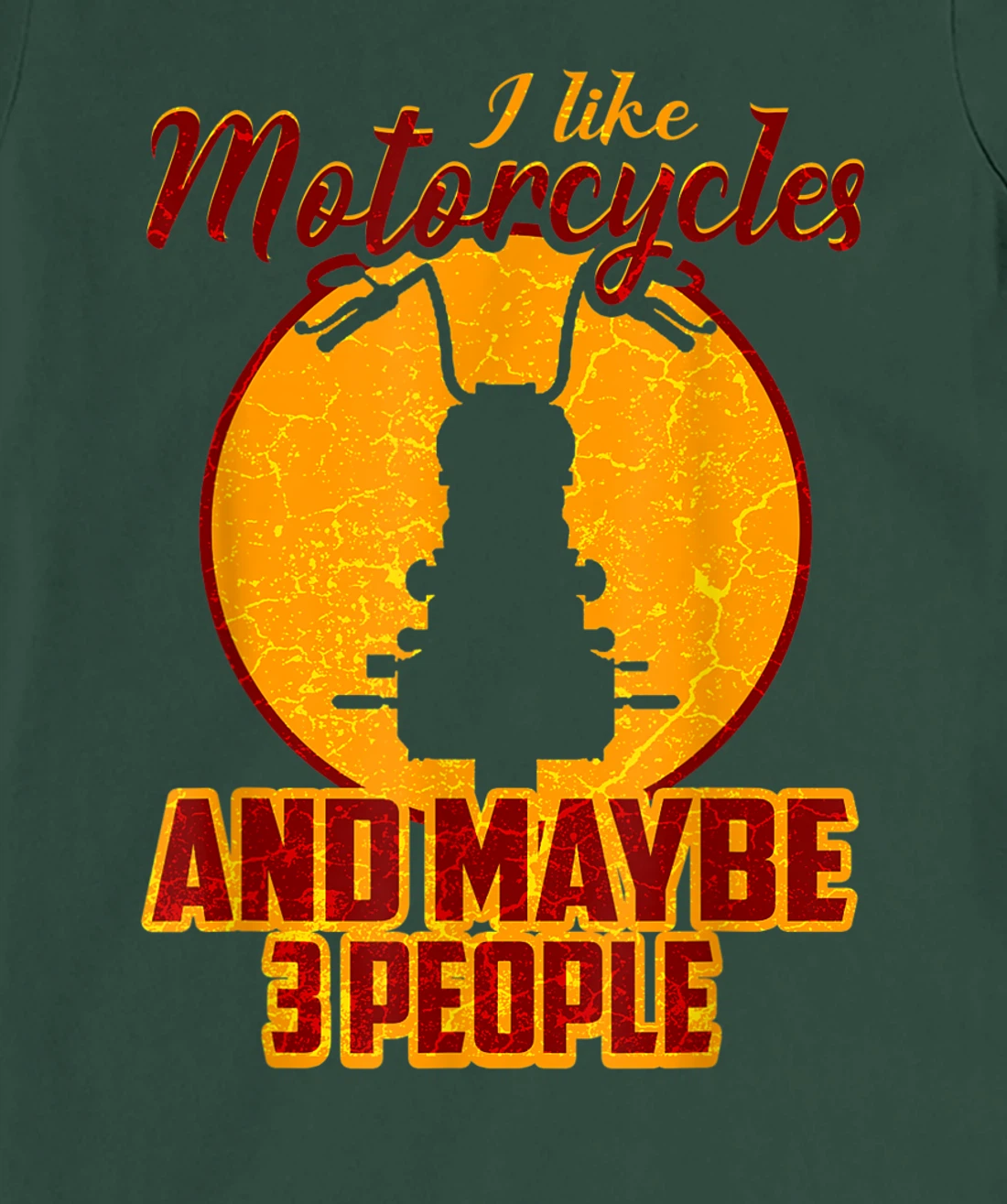 I Like Motorcycles and Maybe 3 People Funny Vintage Biker T-Shirt, Women T-Shirt
