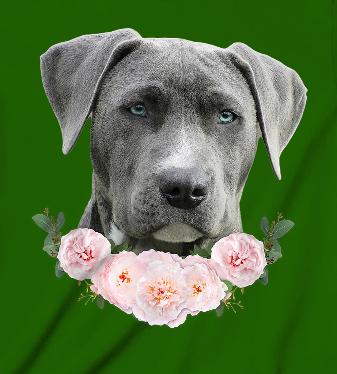 Womens Gray Pit Bull Blue Eye Dog Pitbull Mom Beautiful Pit Bull T-Shirt, Kid T-Shirt and Women T-Shirt