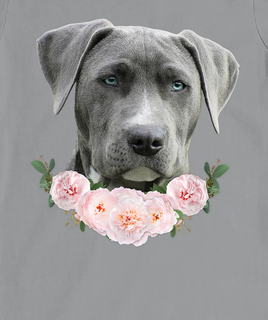 Womens Gray Pit Bull Blue Eye Dog Pitbull Mom Beautiful Pit Bull T-Shirt, Kid T-Shirt and Women T-Shirt