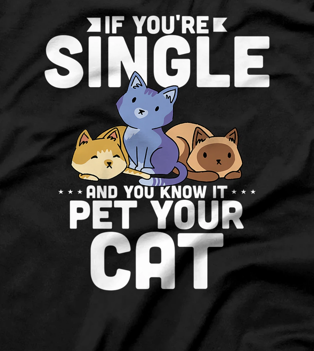 If You're Single And You Know It Pet Your Cat T-Shirt, Women T-Shirt