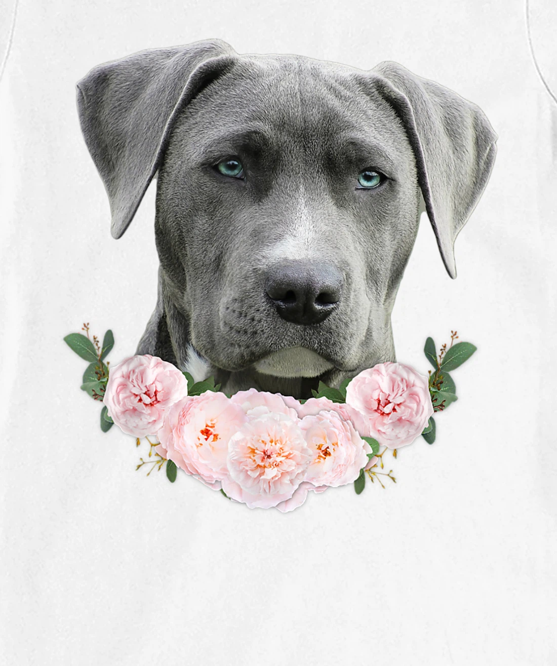 Womens Gray Pit Bull Blue Eye Dog Pitbull Mom Beautiful Pit Bull T-Shirt, Kid T-Shirt and Women T-Shirt
