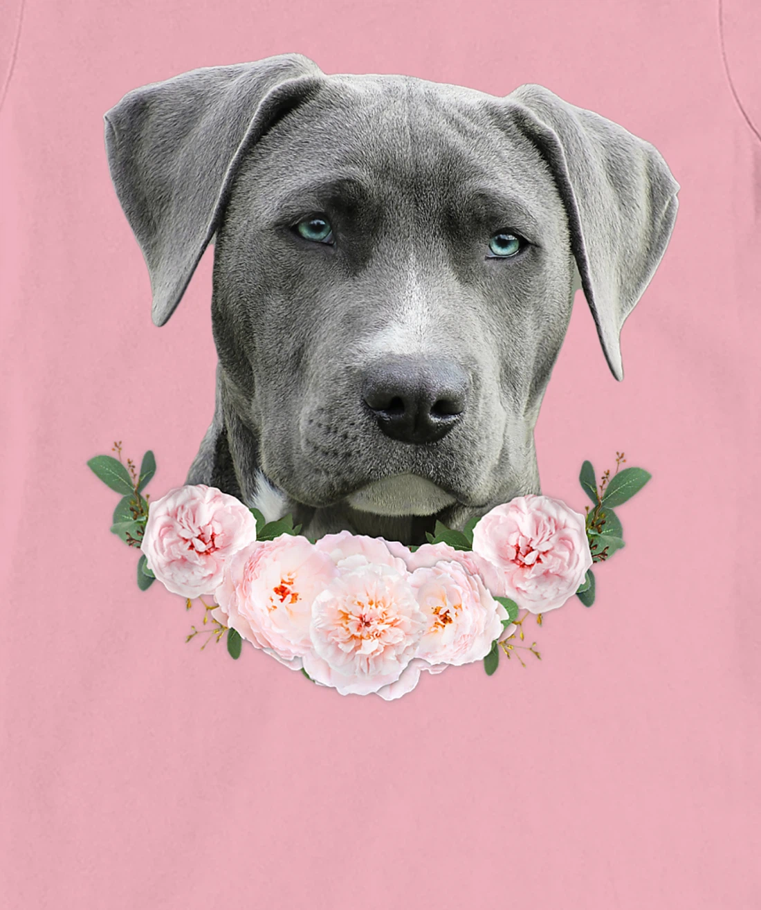 Womens Gray Pit Bull Blue Eye Dog Pitbull Mom Beautiful Pit Bull T-Shirt, Kid T-Shirt and Women T-Shirt