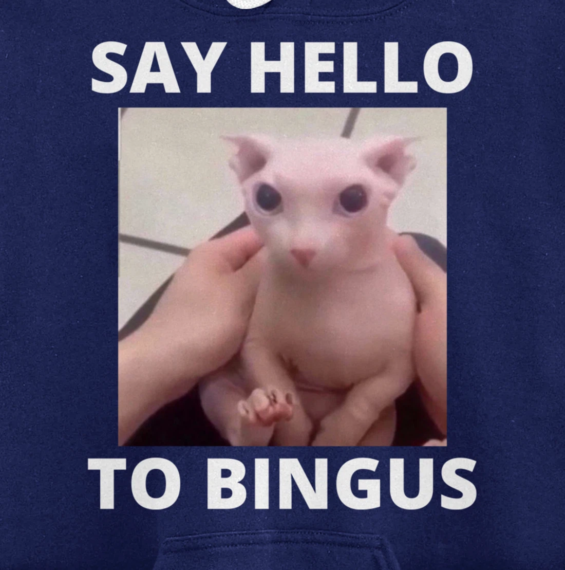 Say Hello Cute Bald Bingus My Beloved Hairless Sphinx Meme Pullover Hoodie