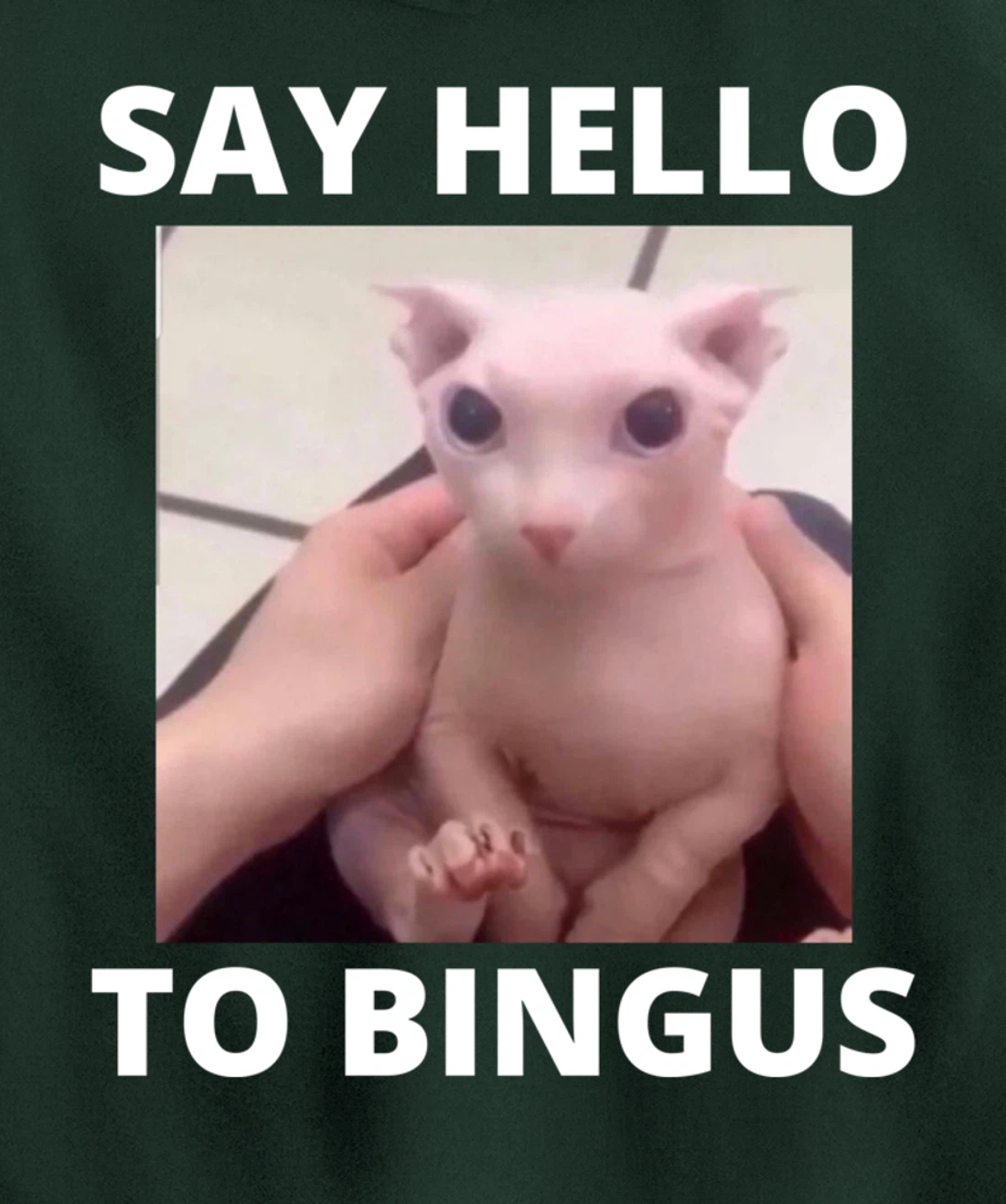 Say Hello Cute Bald Bingus My Beloved Hairless Sphinx Meme Pullover Hoodie