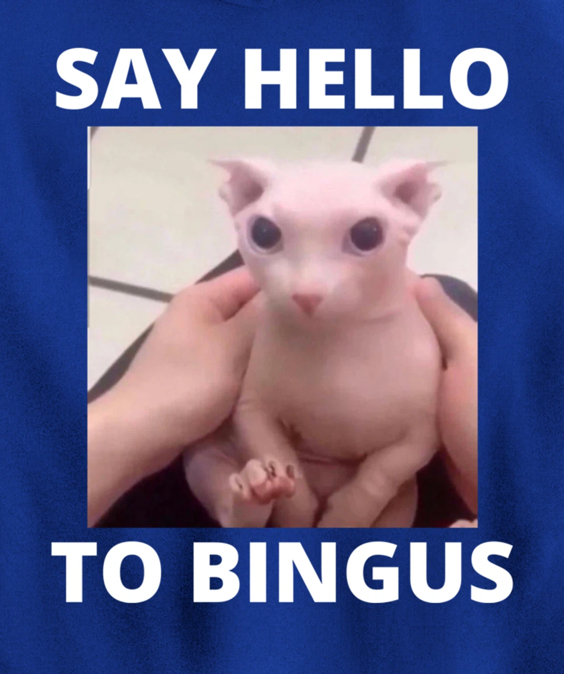 Say Hello Cute Bald Bingus My Beloved Hairless Sphinx Meme Pullover Hoodie