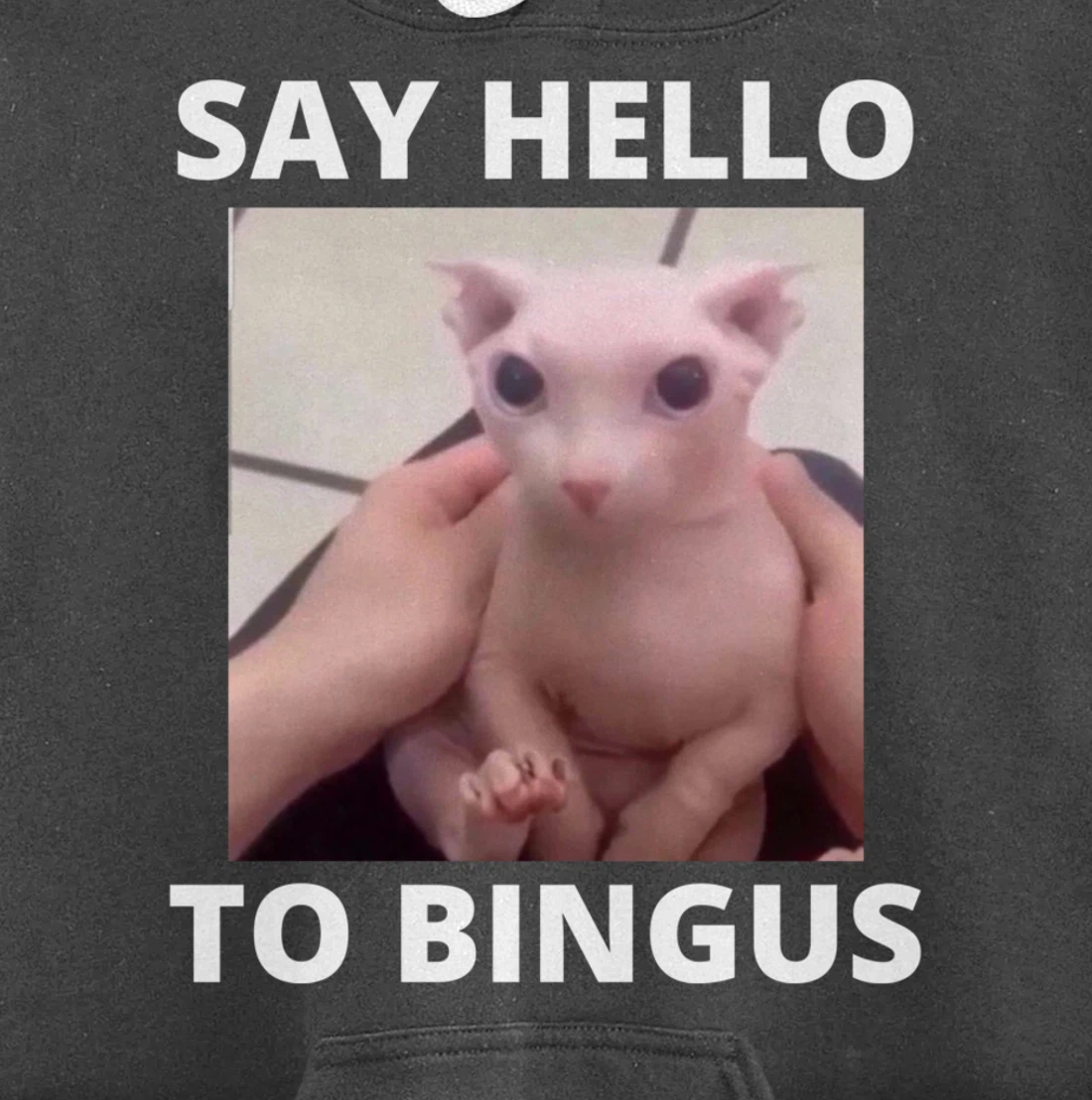 Say Hello Cute Bald Bingus My Beloved Hairless Sphinx Meme Pullover Hoodie