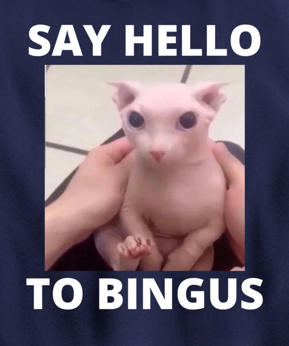 Say Hello Cute Bald Bingus My Beloved Hairless Sphinx Meme Pullover Hoodie