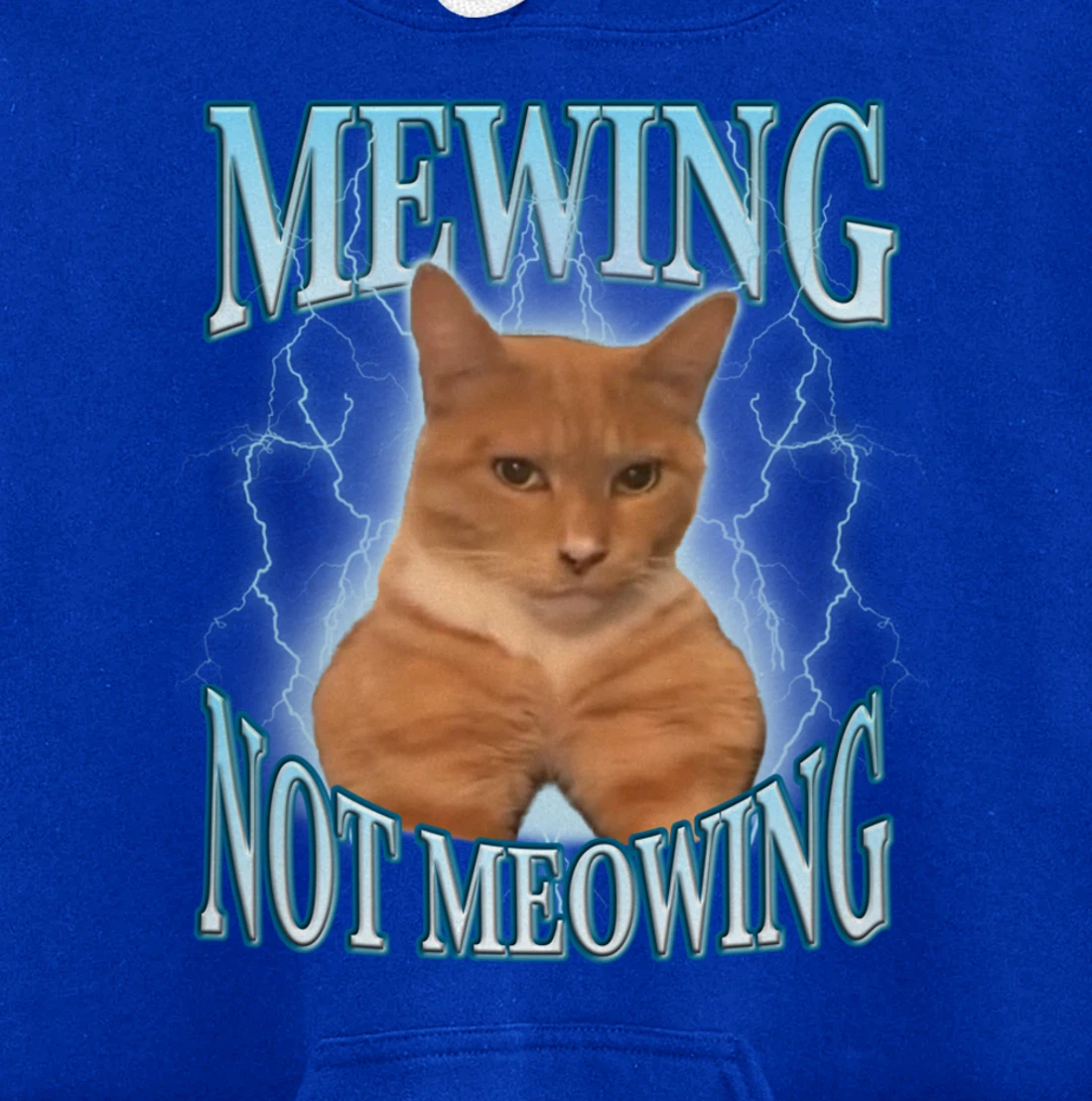 Funny Cat Meme Mewing LooksMax Meowing cat Trend Pullover Hoodie
