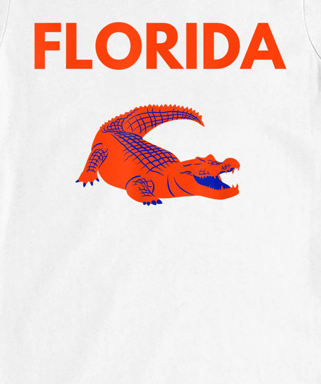 Womens Florida FL Fans Florida Pride T-Shirt, Kid T-Shirt and Women T-Shirt