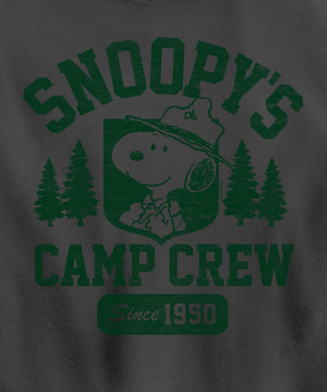 Peanuts - Snoopy's Camp Crew Pullover Hoodie