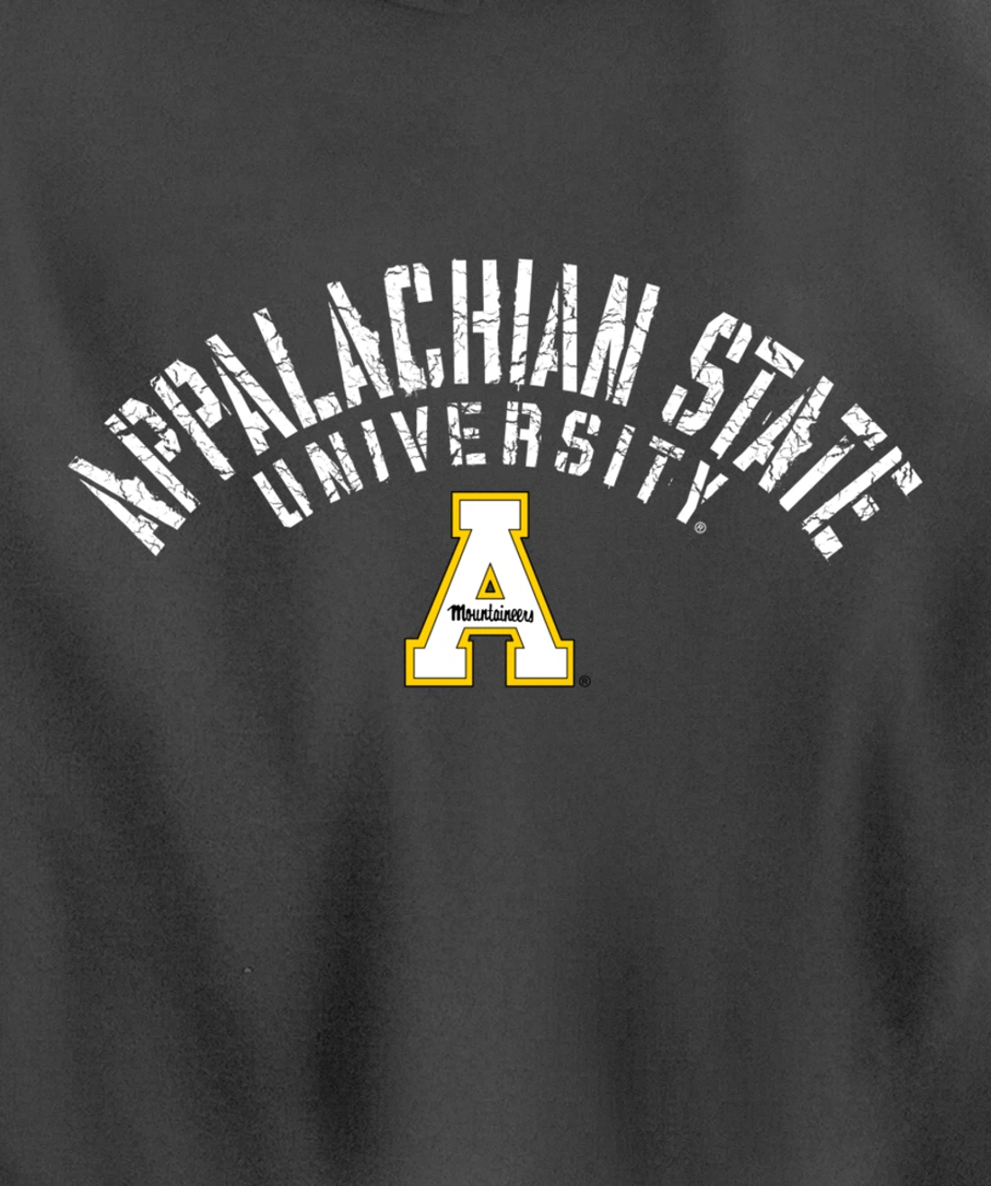 APP-MERCH-1 APPALACHIAN STATE Pullover Hoodie