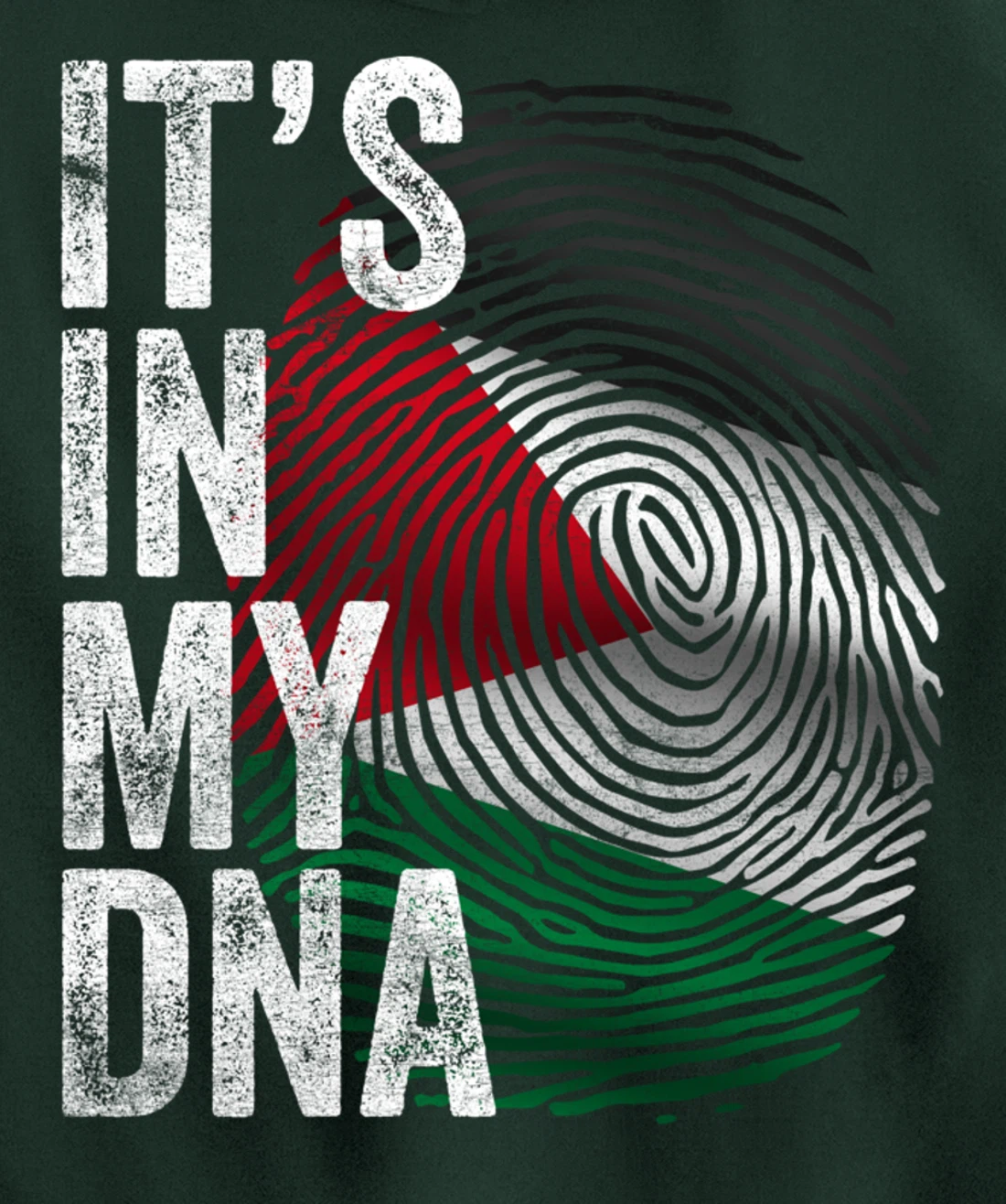 It's in my DNA Palestine Flag Palestinian Pullover Hoodie