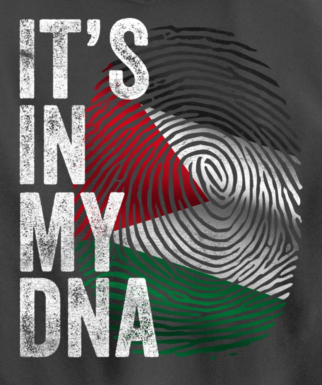 It's in my DNA Palestine Flag Palestinian Pullover Hoodie