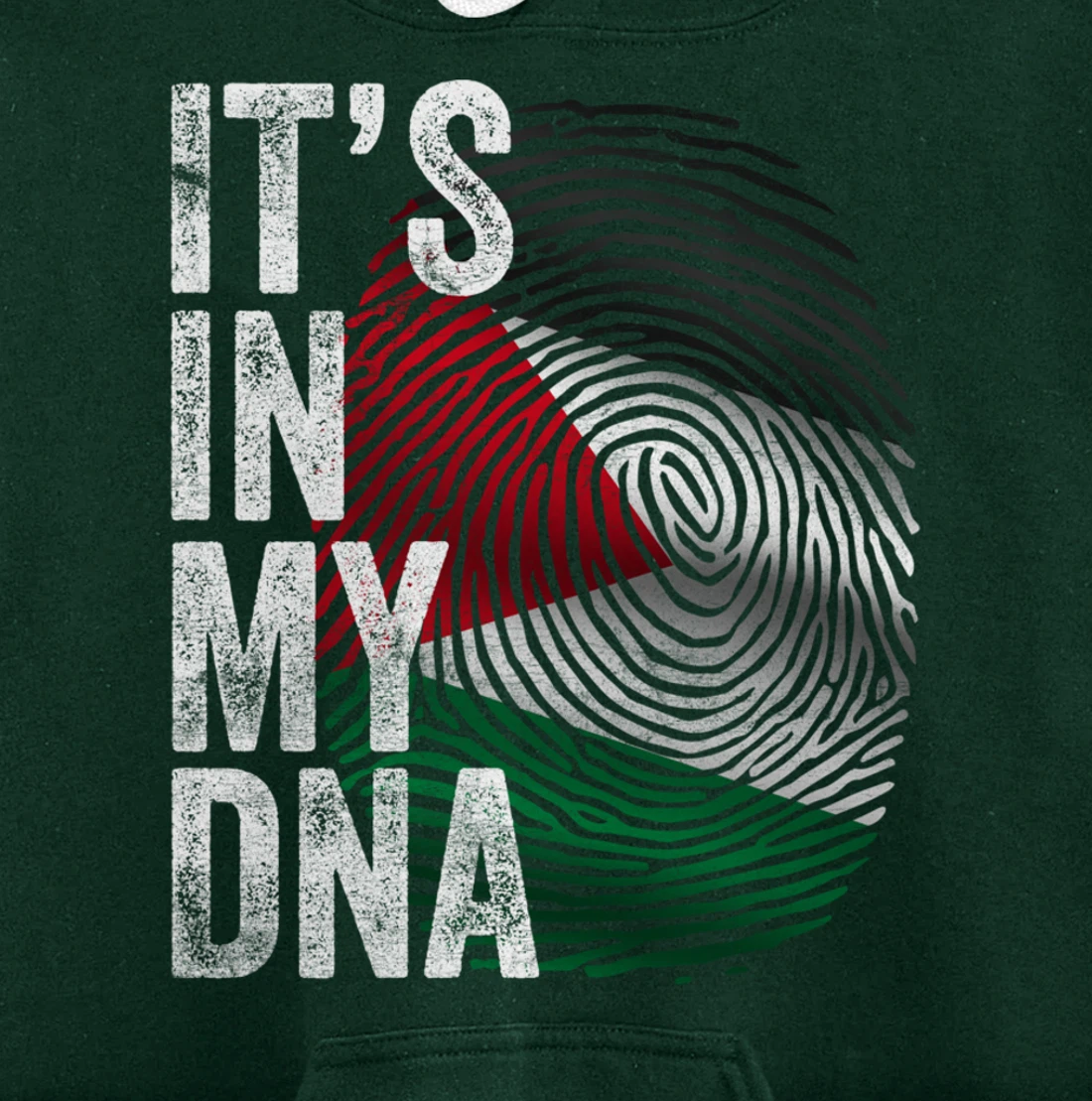 It's in my DNA Palestine Flag Palestinian Pullover Hoodie