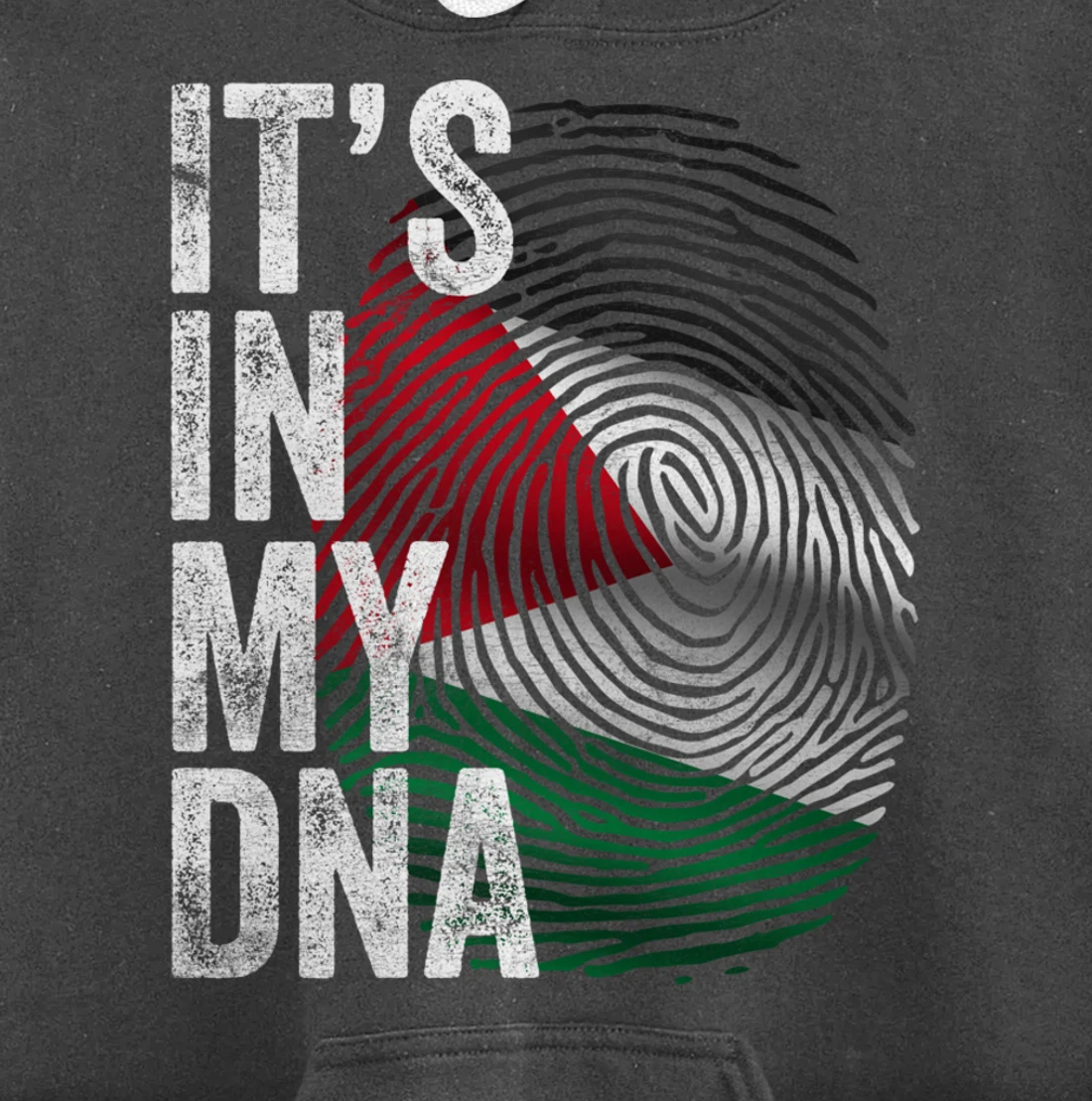 It's in my DNA Palestine Flag Palestinian Pullover Hoodie