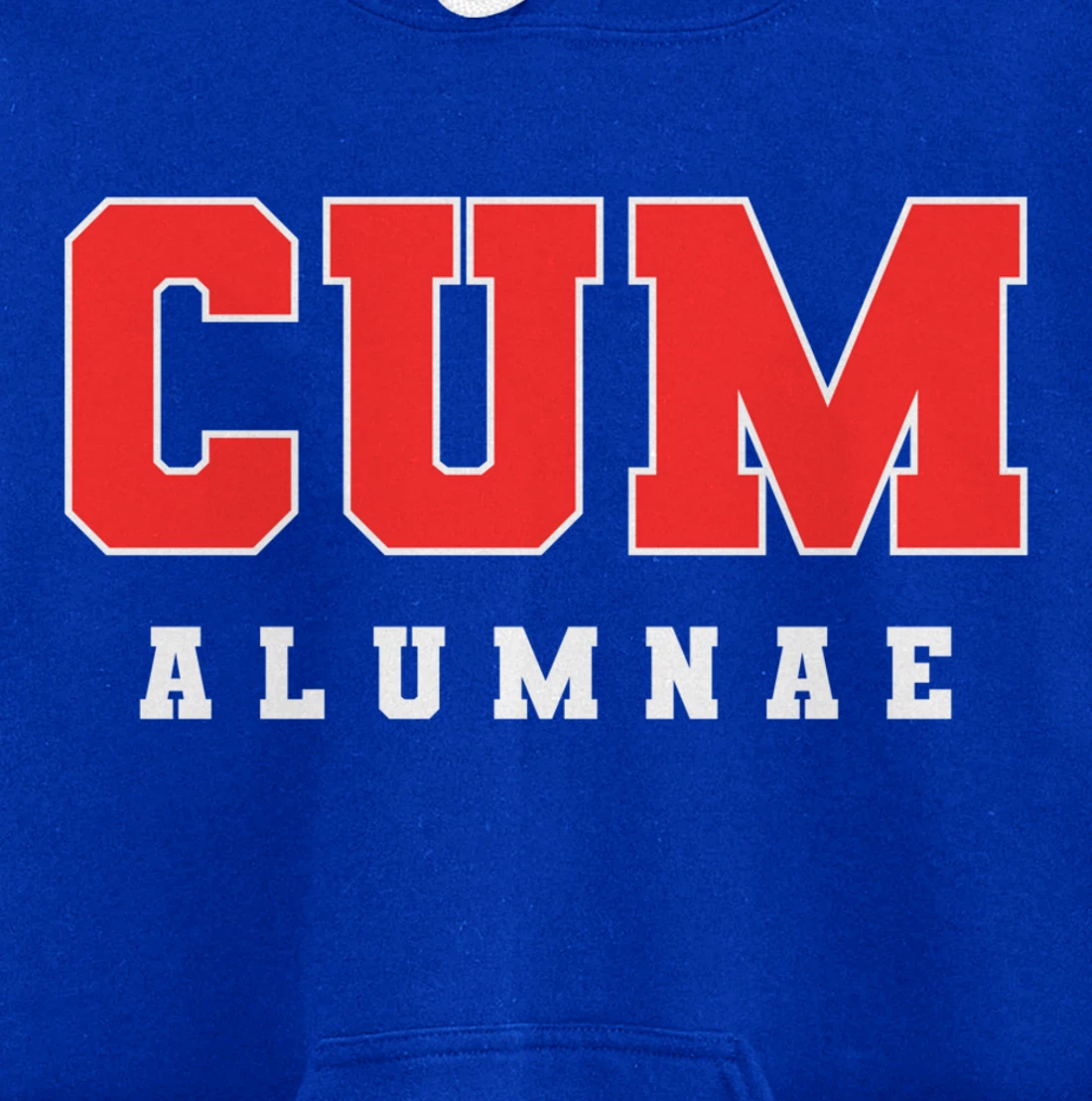 Funny Viral Pullover Hoodie