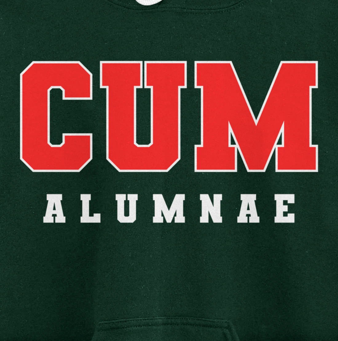 Funny Viral Pullover Hoodie