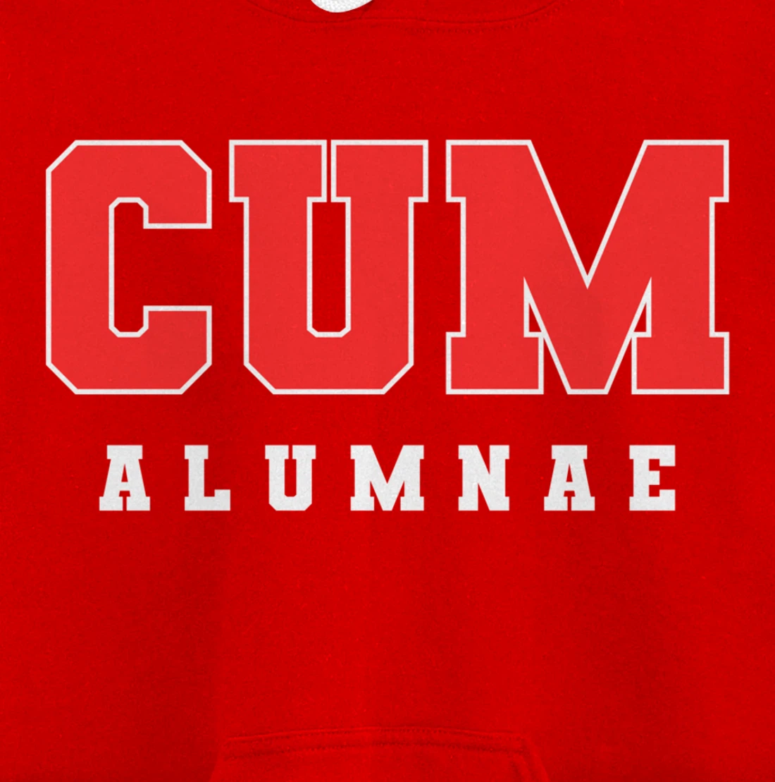 Funny Viral Pullover Hoodie