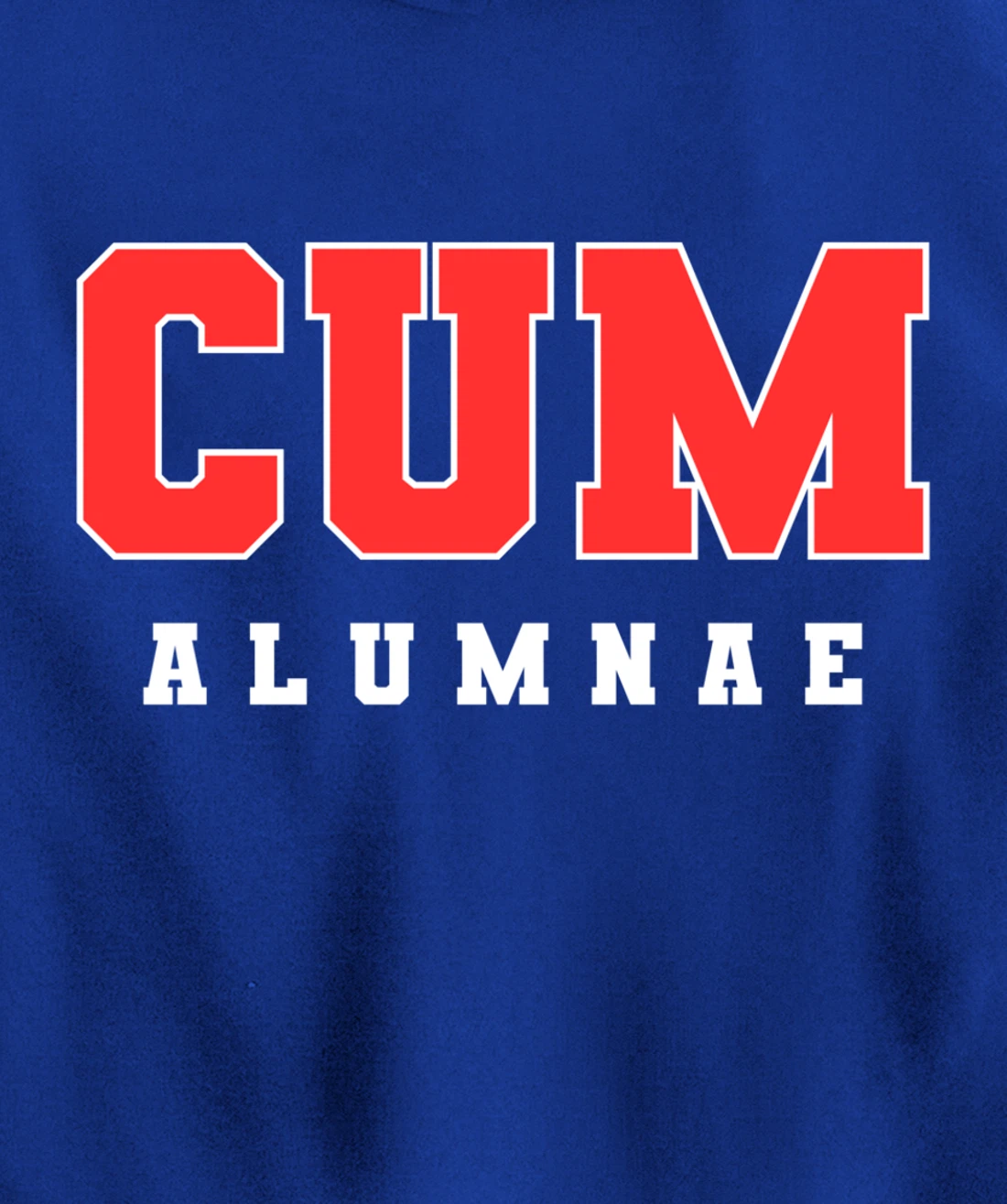 Funny Viral Pullover Hoodie