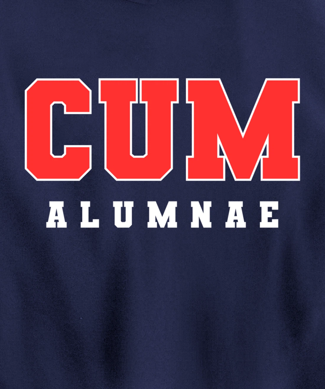 Funny Viral Pullover Hoodie