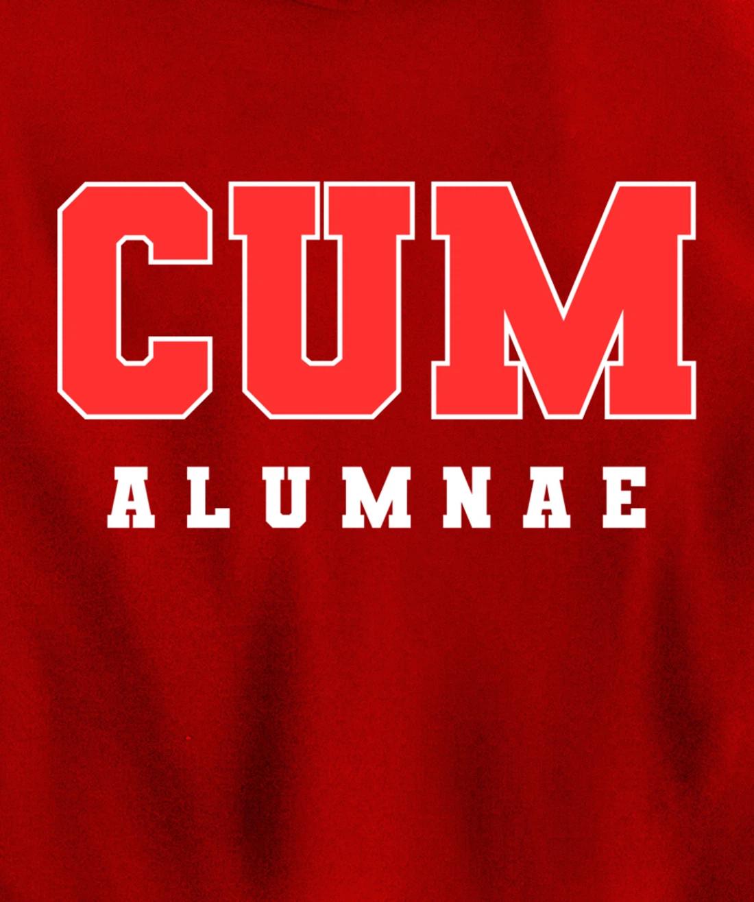 Funny Viral Pullover Hoodie