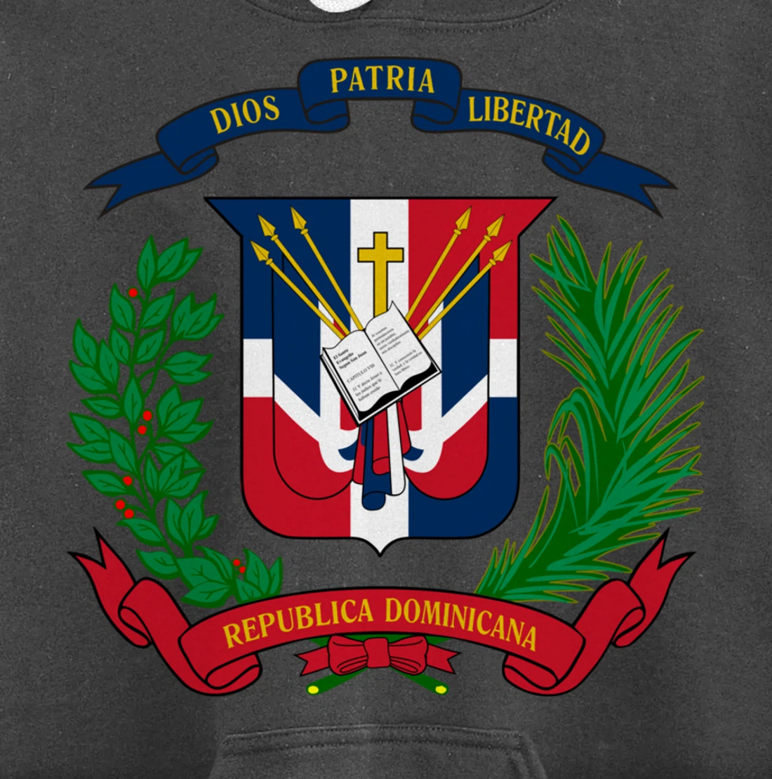 Coat of Arms Republica Dominicana Bandera Dominican Flag Pullover Hoodie