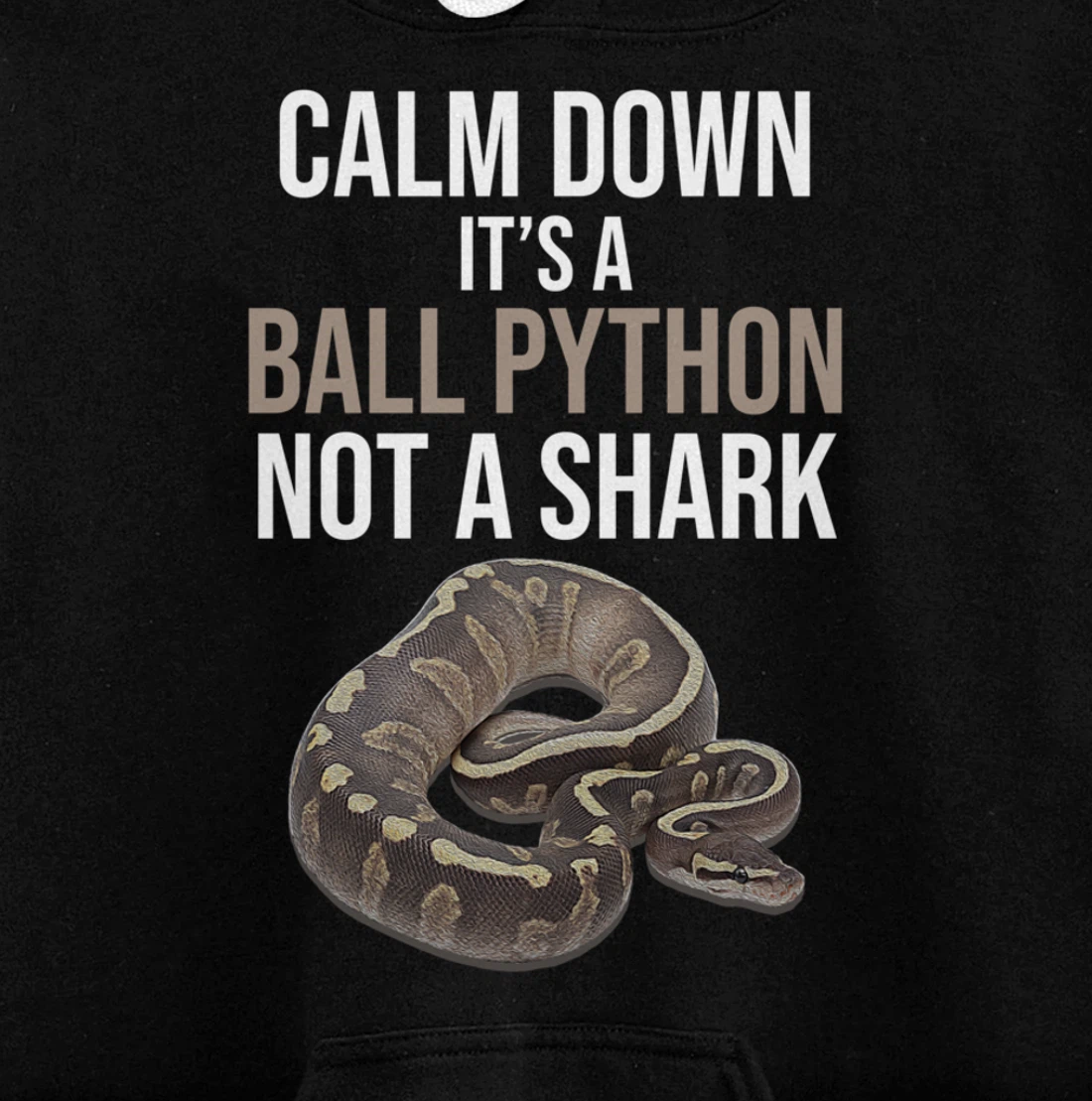 It's A Ball Python Reptiles Lover Pet Reptile Owner Graphic Pullover Hoodie