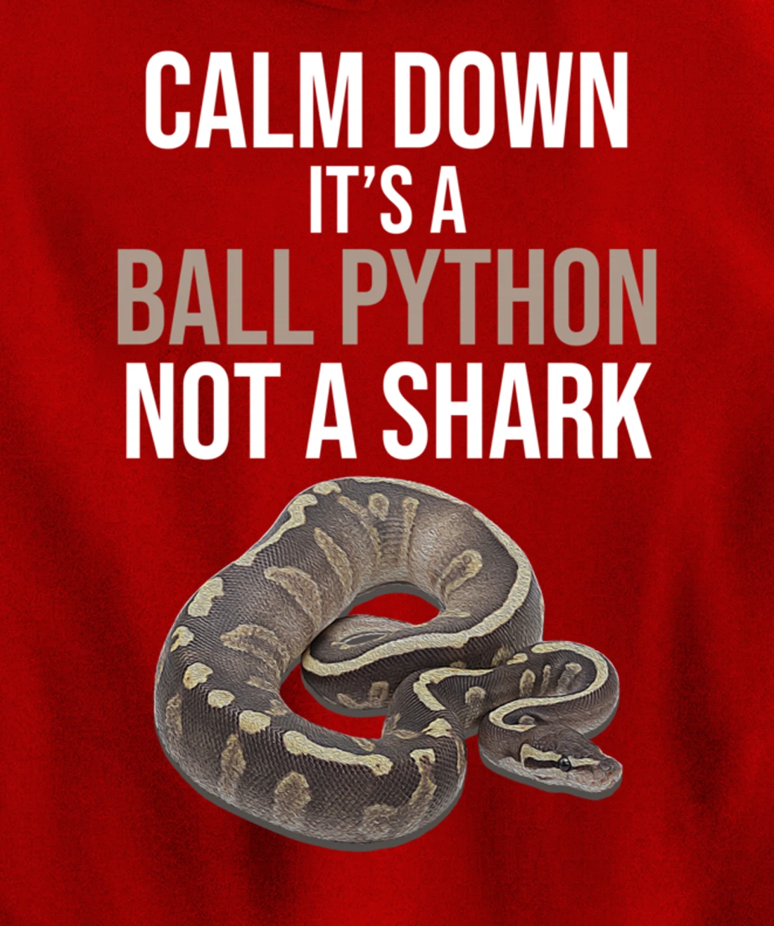 It's A Ball Python Reptiles Lover Pet Reptile Owner Graphic Pullover Hoodie