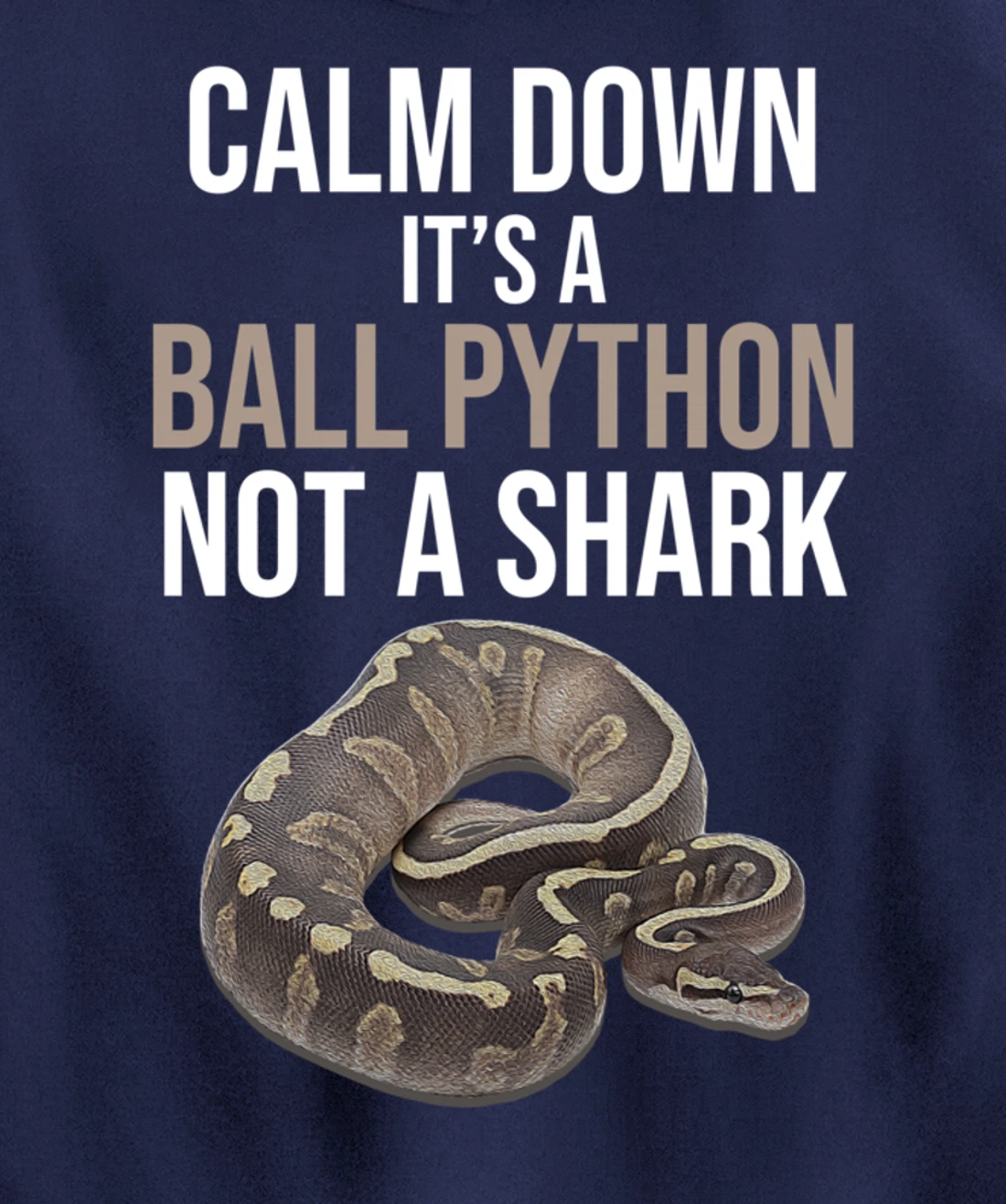 It's A Ball Python Reptiles Lover Pet Reptile Owner Graphic Pullover Hoodie