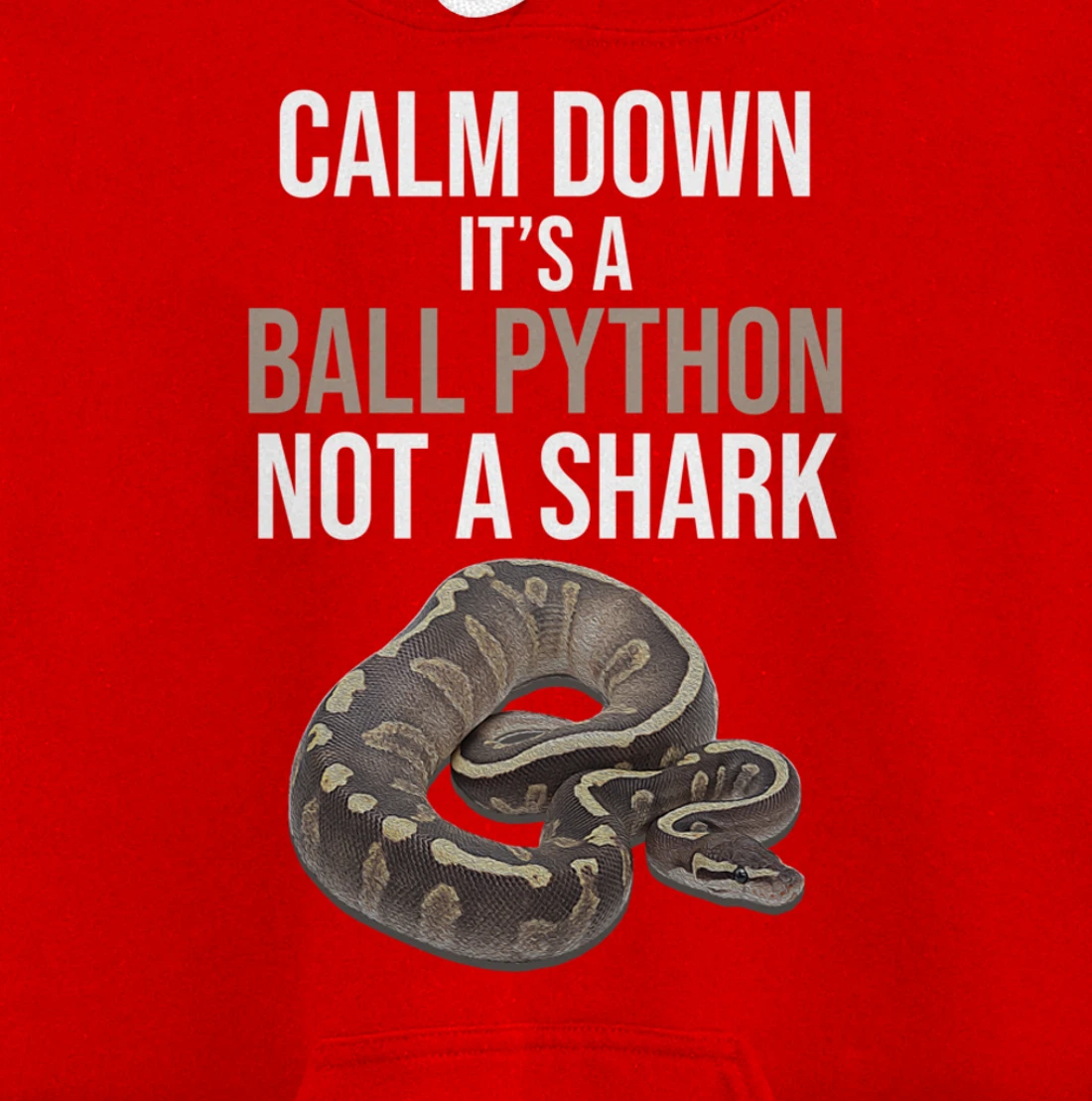 It's A Ball Python Reptiles Lover Pet Reptile Owner Graphic Pullover Hoodie