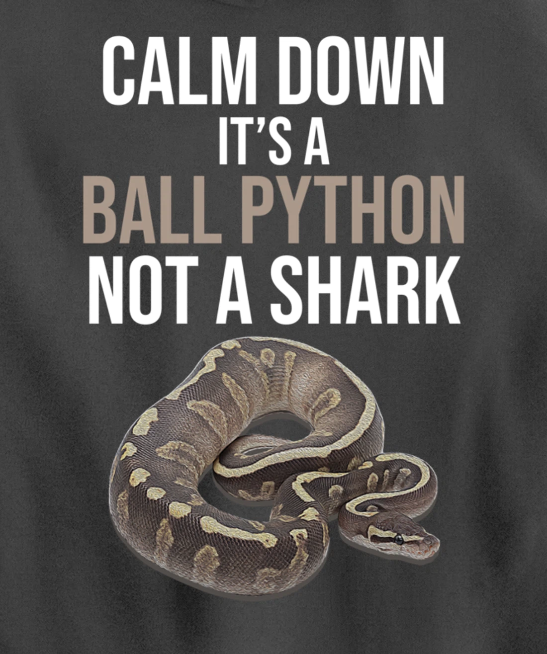 It's A Ball Python Reptiles Lover Pet Reptile Owner Graphic Pullover Hoodie