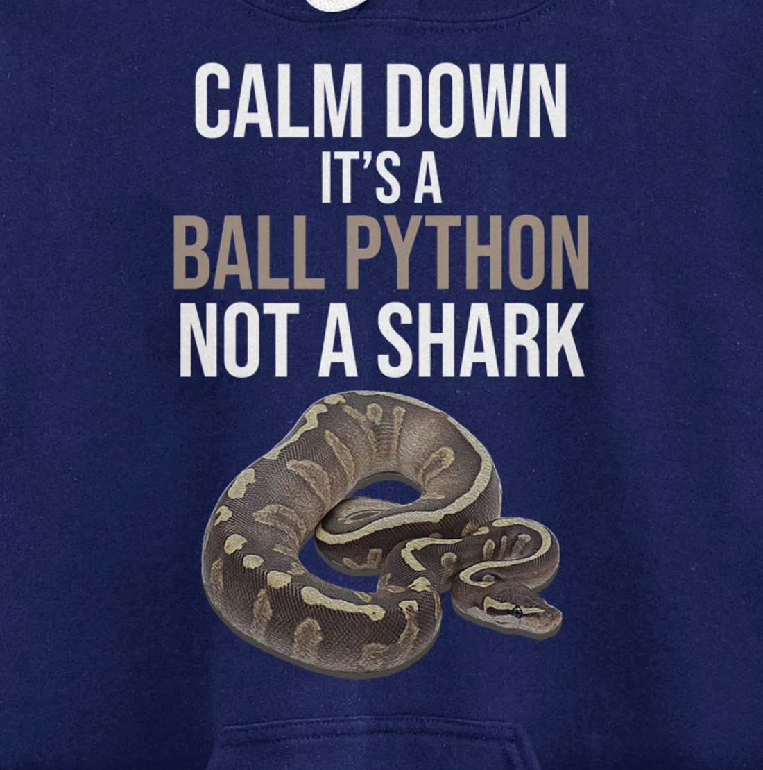 It's A Ball Python Reptiles Lover Pet Reptile Owner Graphic Pullover Hoodie