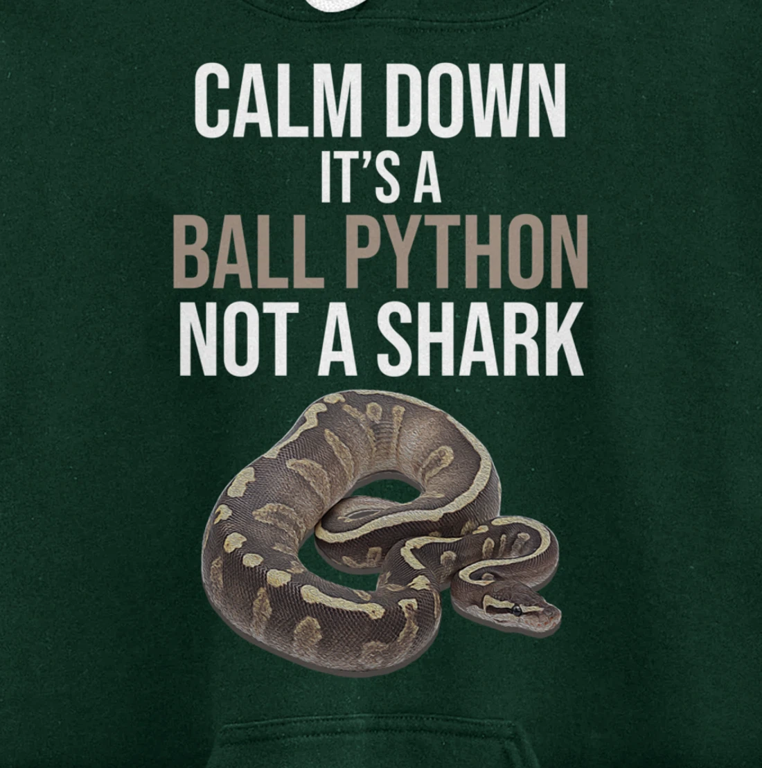 It's A Ball Python Reptiles Lover Pet Reptile Owner Graphic Pullover Hoodie