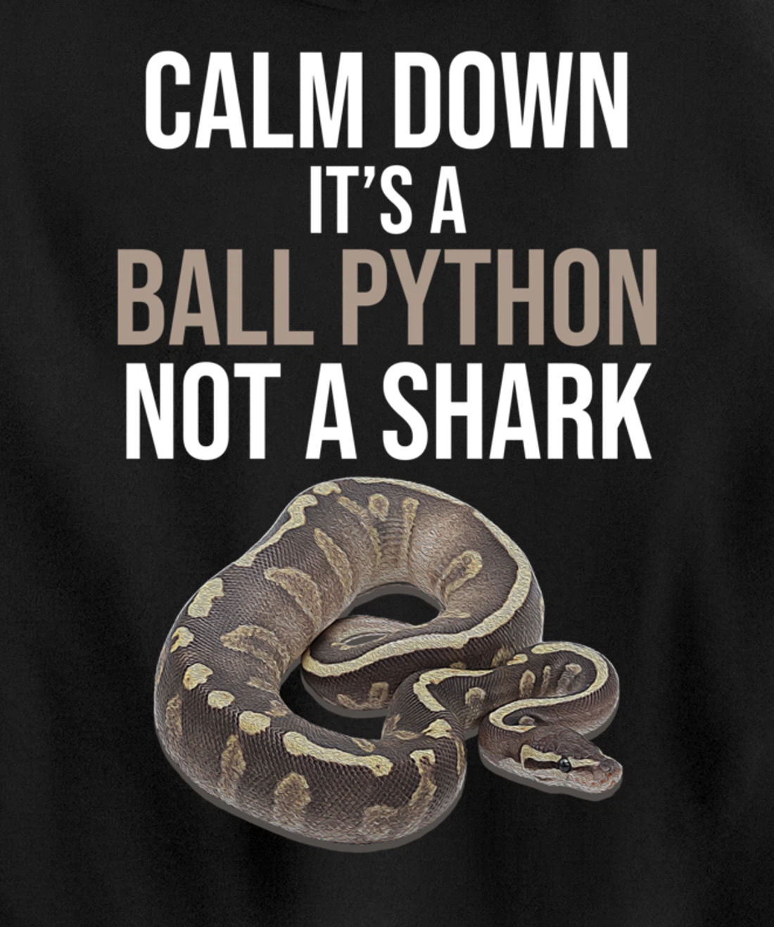 It's A Ball Python Reptiles Lover Pet Reptile Owner Graphic Pullover Hoodie