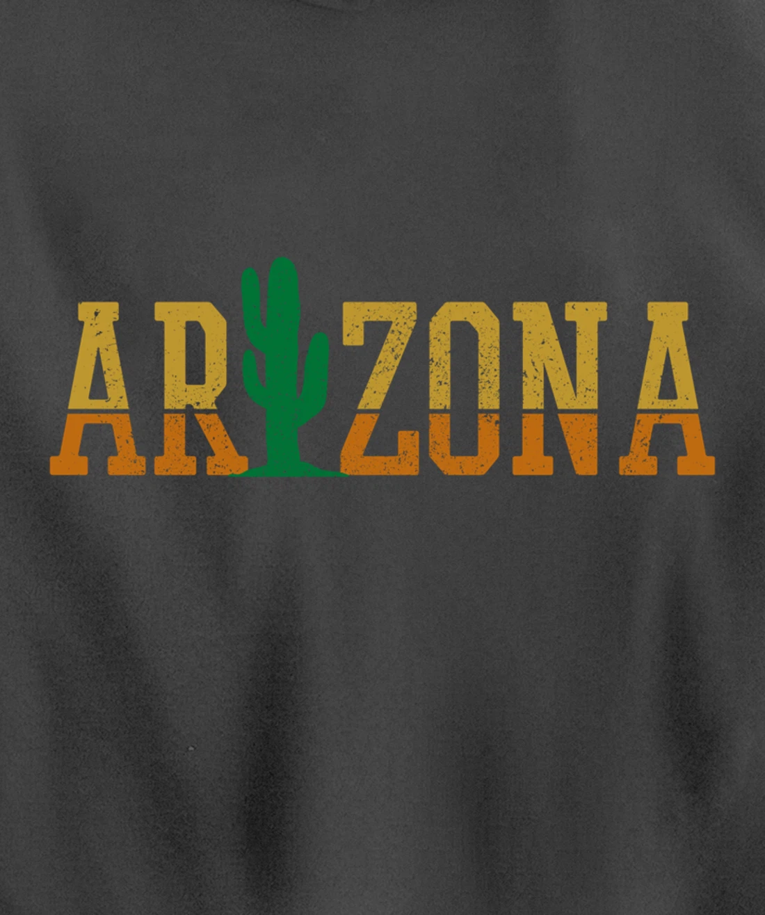 Arizona Cactus Vintage Retro Pride Souvenir Gift Pullover Hoodie