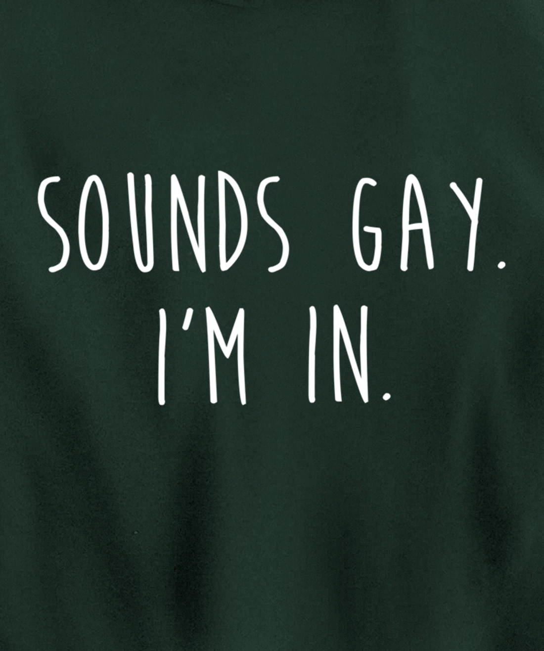 Funny Gay Pride Sounds Gay I'm In LGBTQ Pullover Hoodie