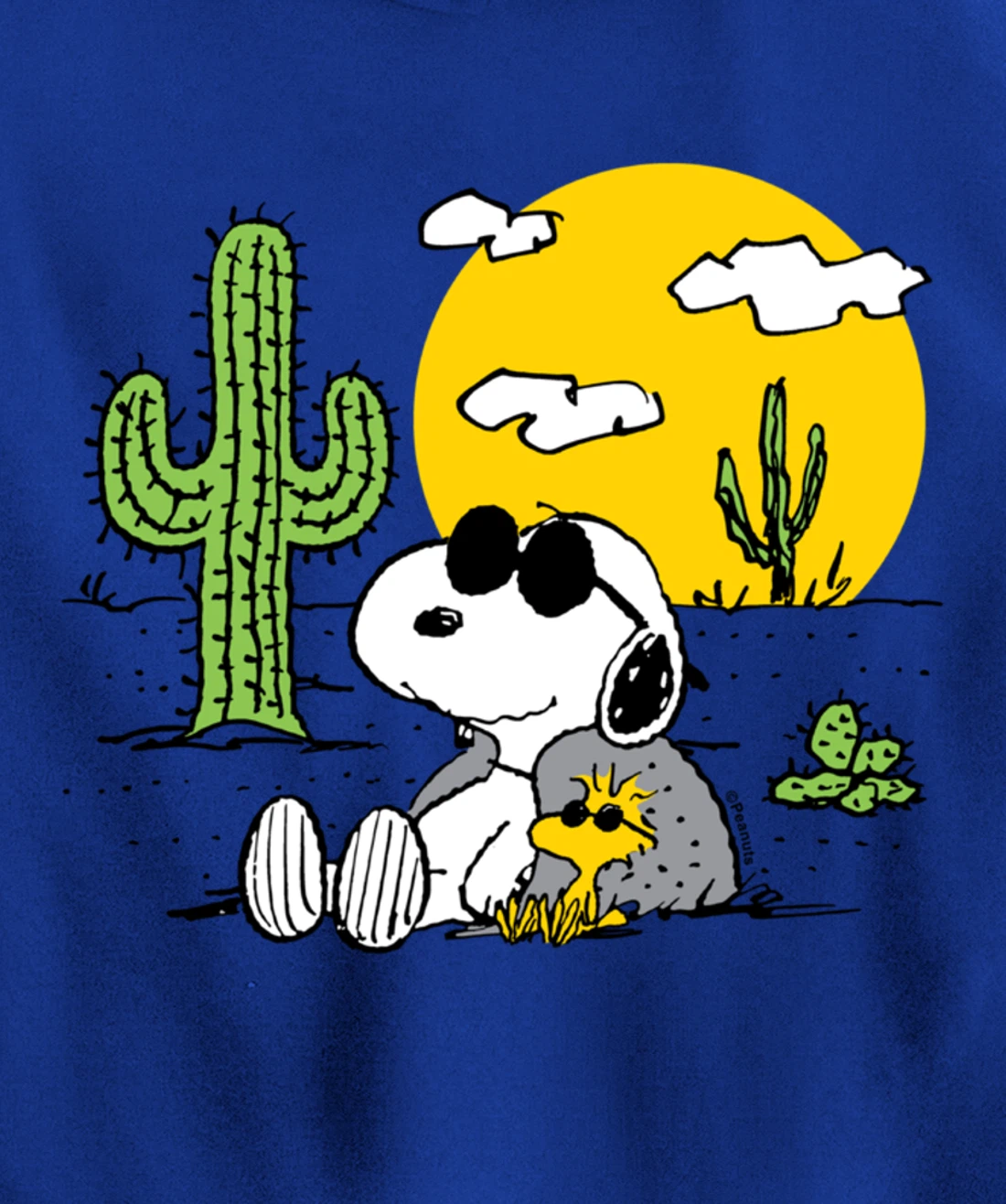 Peanuts - Summer - Snoopy & Woodstock Desert Pullover Hoodie
