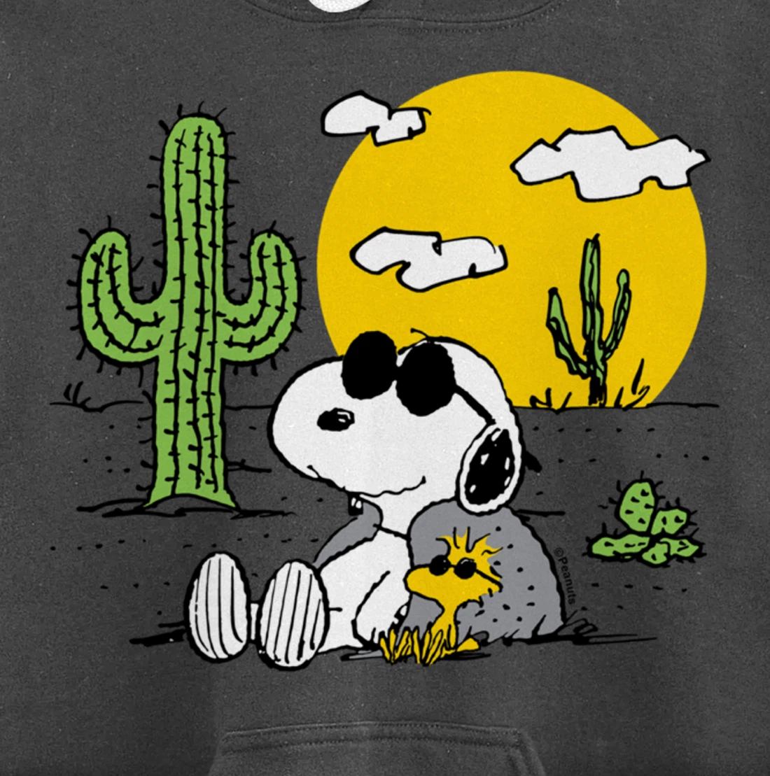 Peanuts - Summer - Snoopy & Woodstock Desert Pullover Hoodie