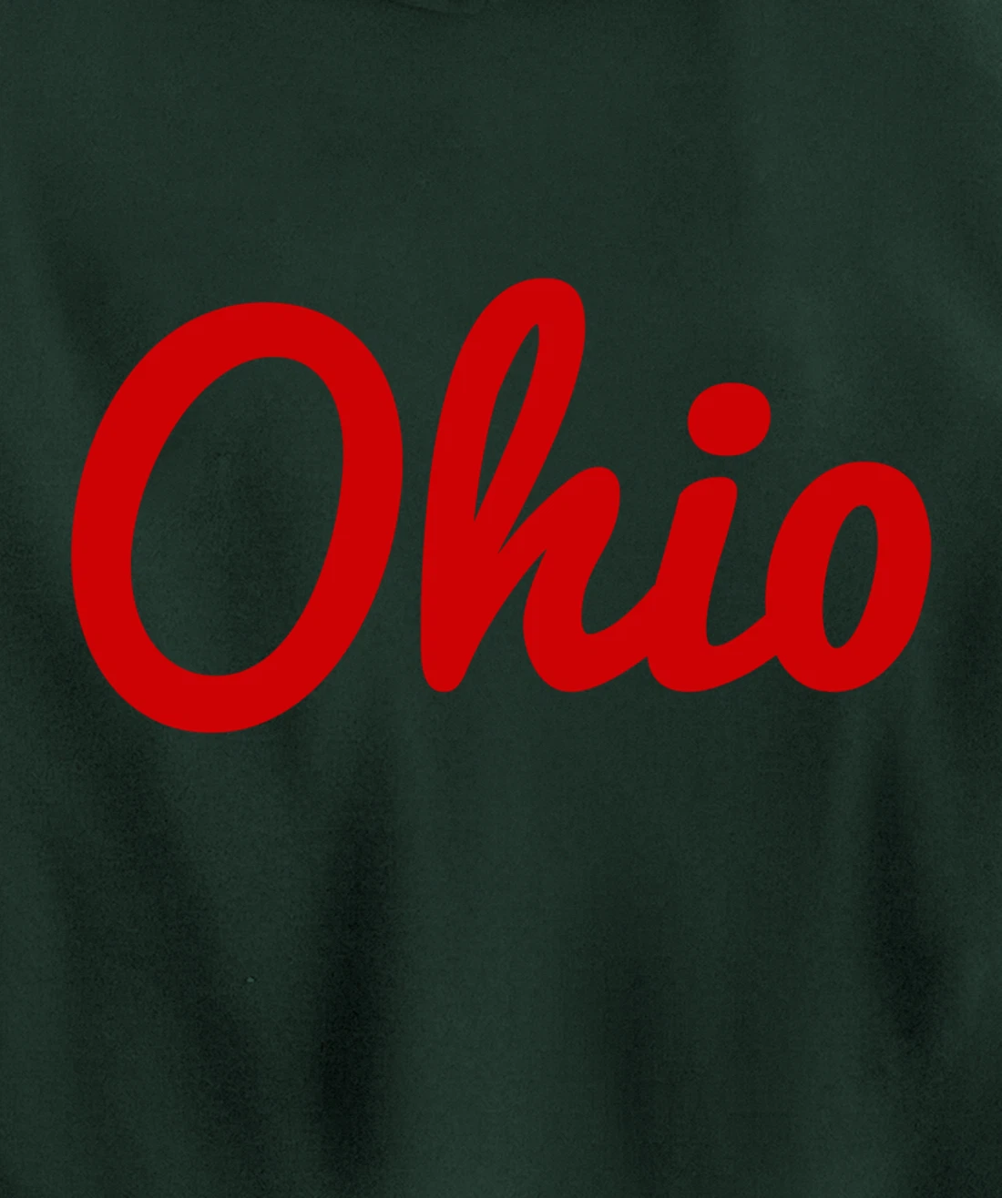 Script Ohio Hoodie State of Ohio Hooded Hoodie Pullover Hoodie