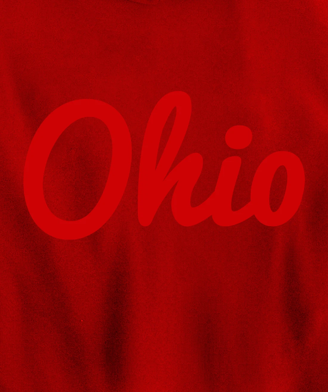 Script Ohio Hoodie State of Ohio Hooded Hoodie Pullover Hoodie