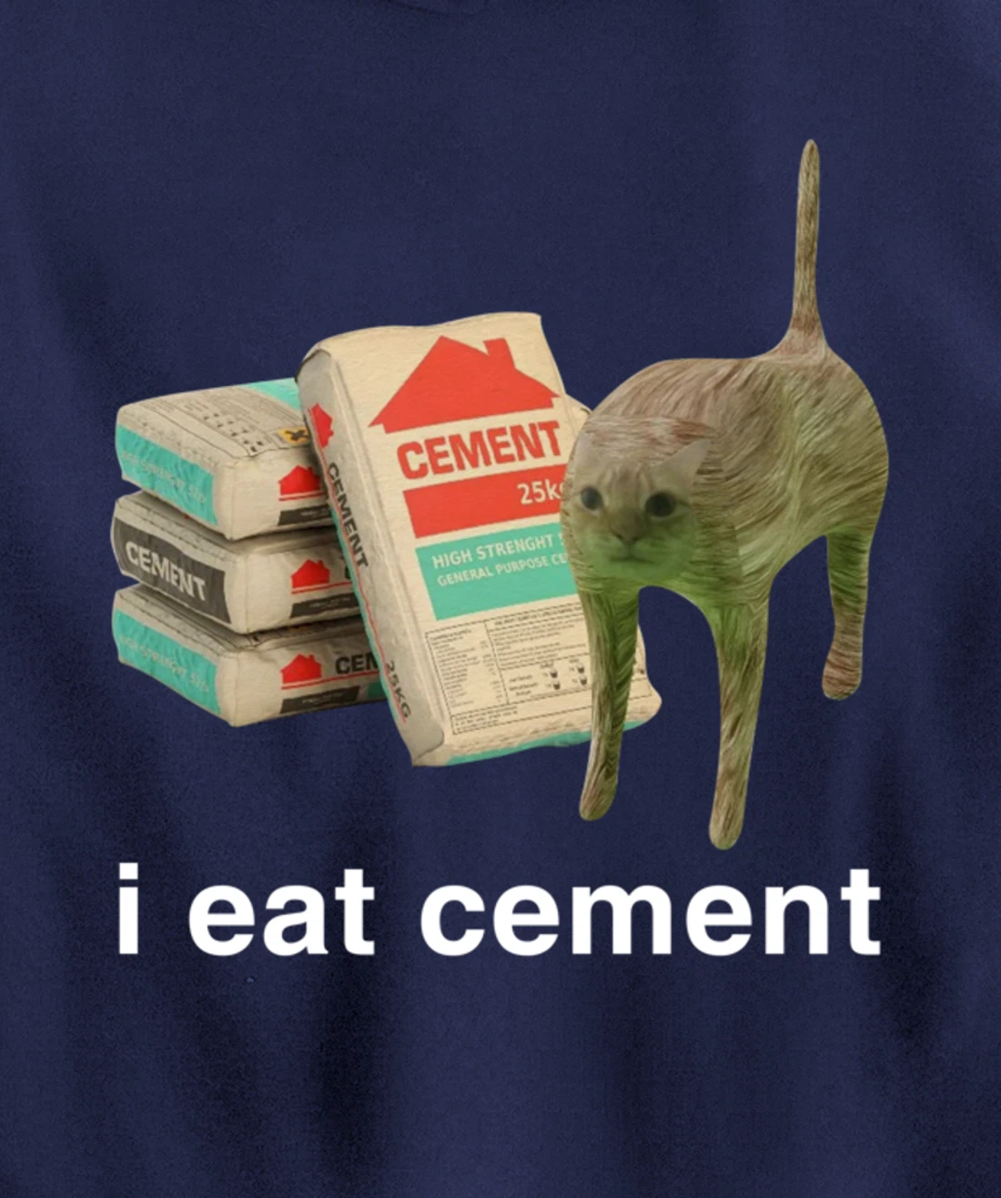 I Eat Cement Cursed Cat Funny Meme Cat Lover I Eat Cement Pullover Hoodie