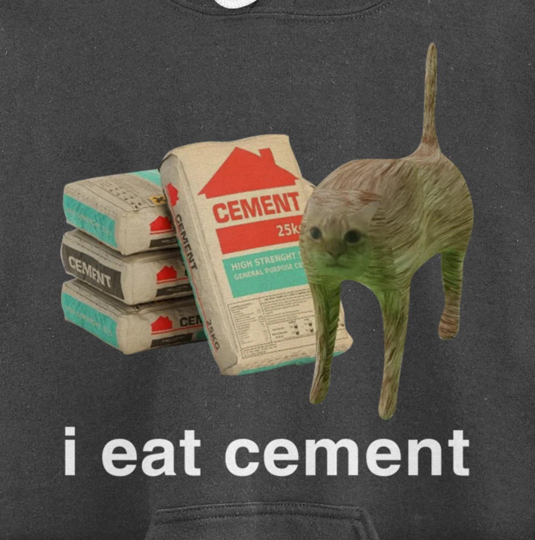 I Eat Cement Cursed Cat Funny Meme Cat Lover I Eat Cement Pullover Hoodie