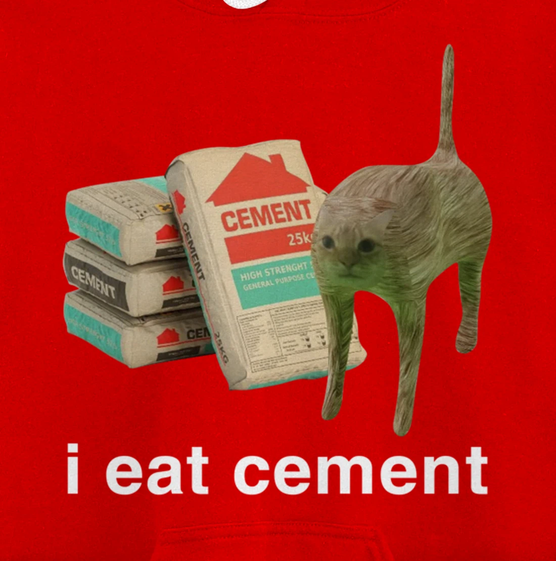 I Eat Cement Cursed Cat Funny Meme Cat Lover I Eat Cement Pullover Hoodie