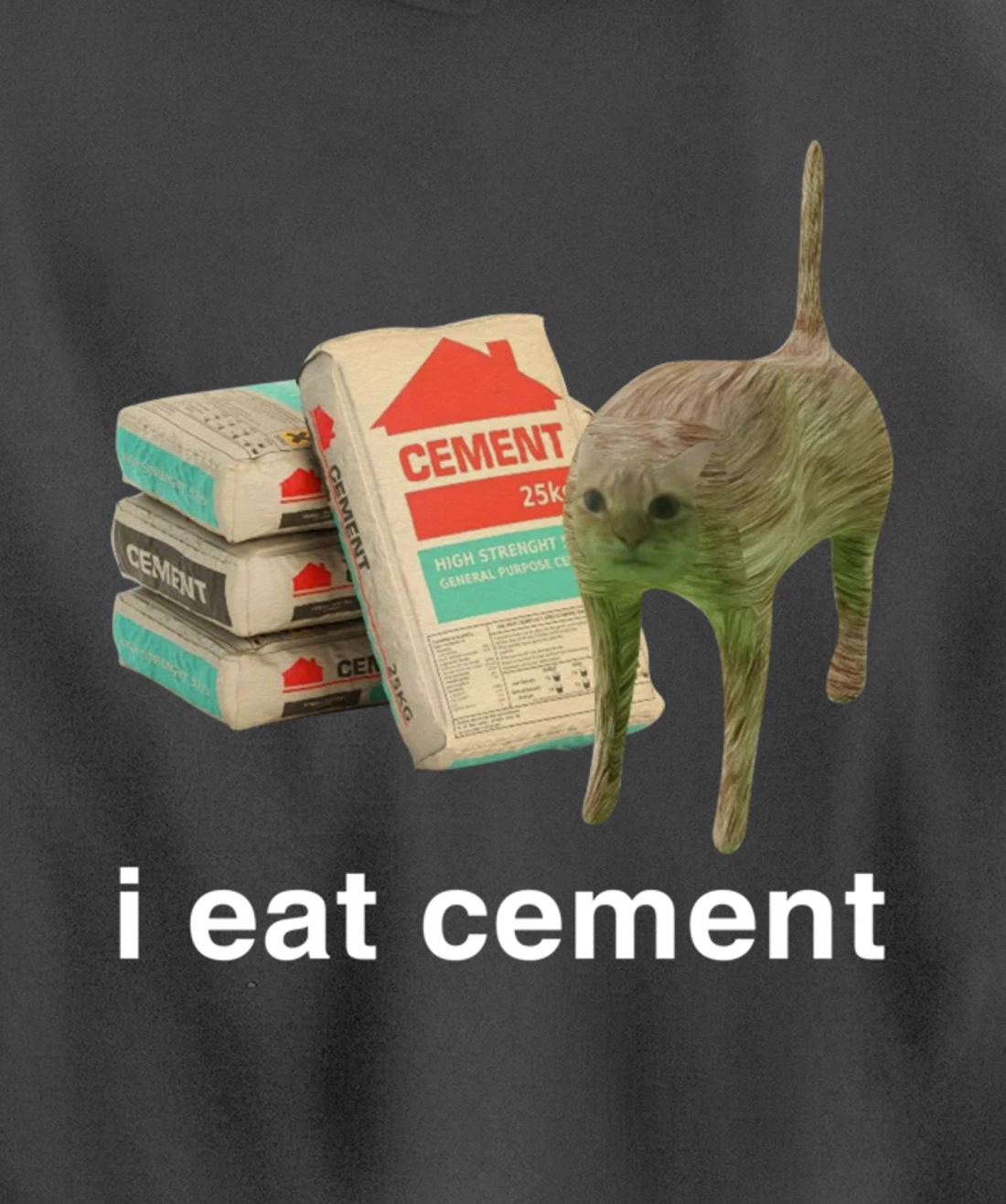 I Eat Cement Cursed Cat Funny Meme Cat Lover I Eat Cement Pullover Hoodie