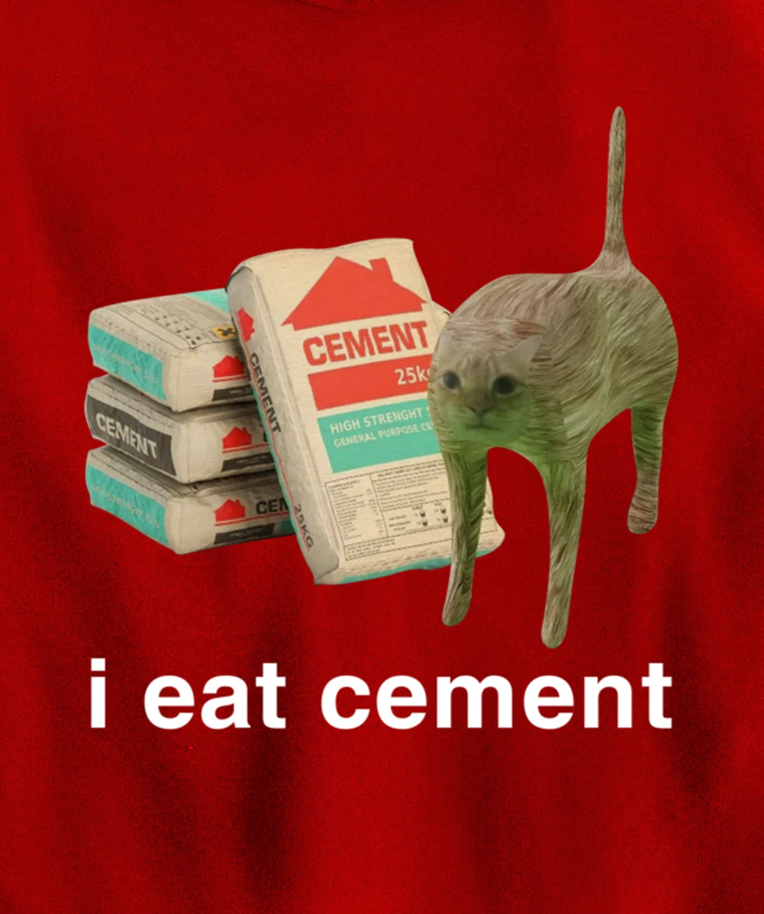 I Eat Cement Cursed Cat Funny Meme Cat Lover I Eat Cement Pullover Hoodie