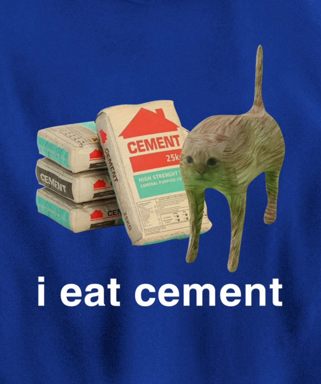 I Eat Cement Cursed Cat Funny Meme Cat Lover I Eat Cement Pullover Hoodie
