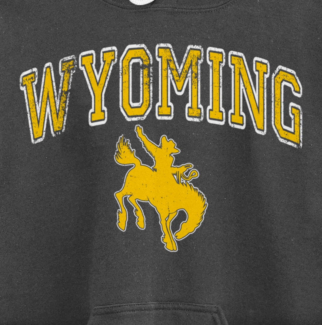 Wyoming Retro Roping Cowboy Vintage Retro Cowboy Men Pullover Hoodie