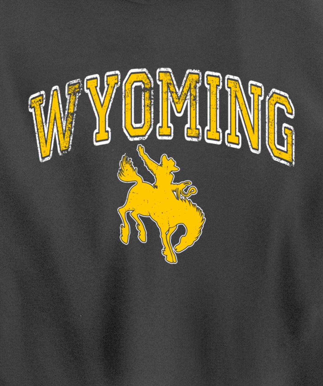 Wyoming Retro Roping Cowboy Vintage Retro Cowboy Men Pullover Hoodie