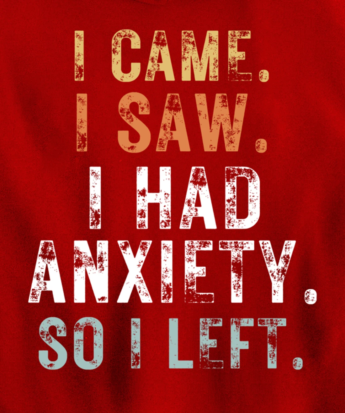 I Came I Saw I Had Anxiety So I Left Funny Introvert Anxiety Pullover Hoodie